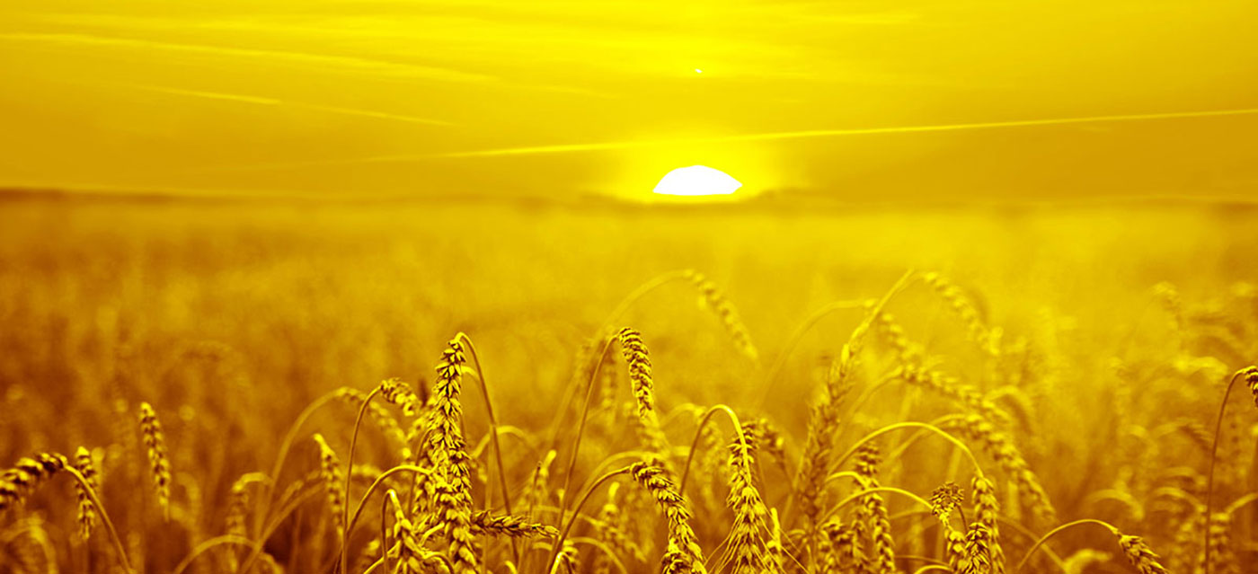 Páči sa nám ponúkať farebné riešenia